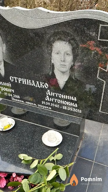 Стринадко Антонина Антоновна