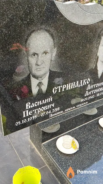 Стринадко Василий Петрович