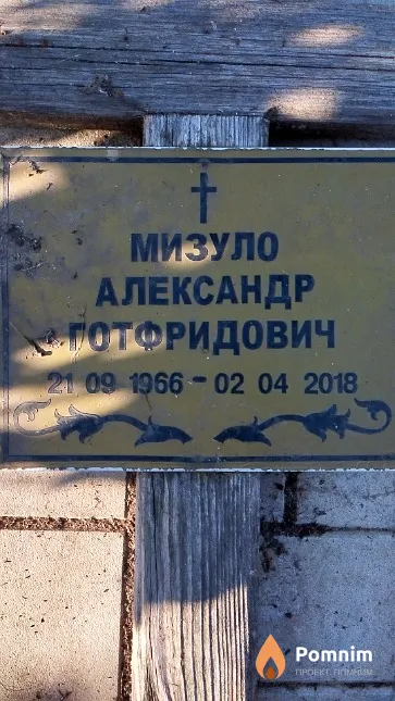 Мизуло Александр Готфридович