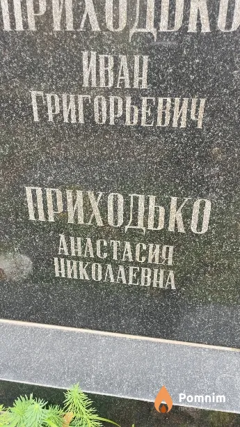 Приходько Анастасия Николаевна