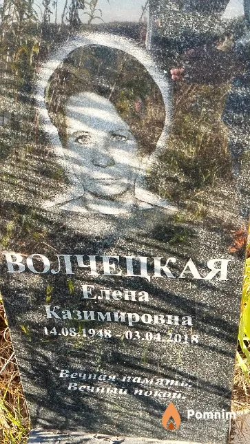 Волчецкая Елена Казимировна