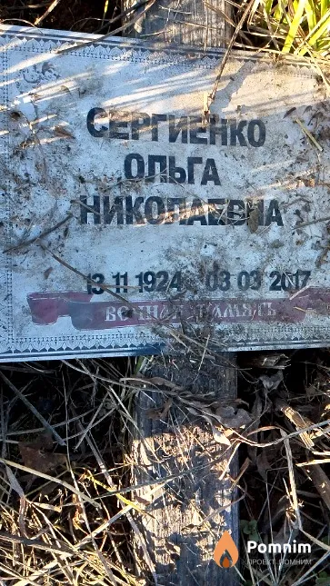 Сергиенко Ольга Николаевна