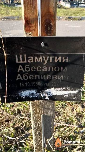 Шамугия Абесалом Абелиевич