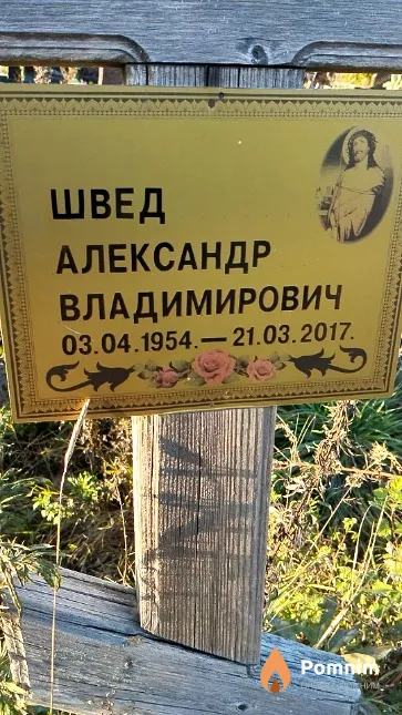 Швед Александр Владимирович