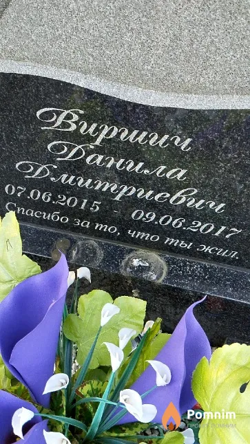 Виршич Данила Дмитриевич