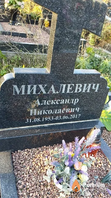 Михалевич Александр Николаевич
