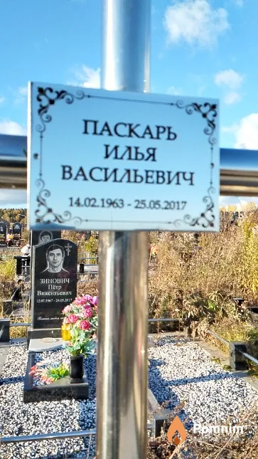 Паскарь Илья Васильевич