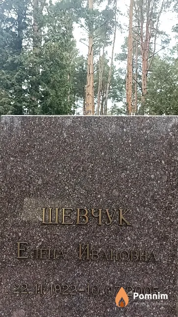 Шевчук Елена Ивановна