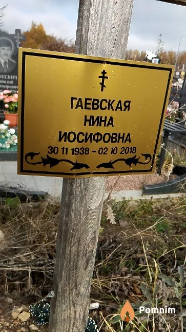 Гаевская Нина Иосифовна