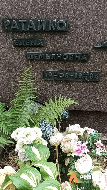 Ратайко Елена Демьяновна