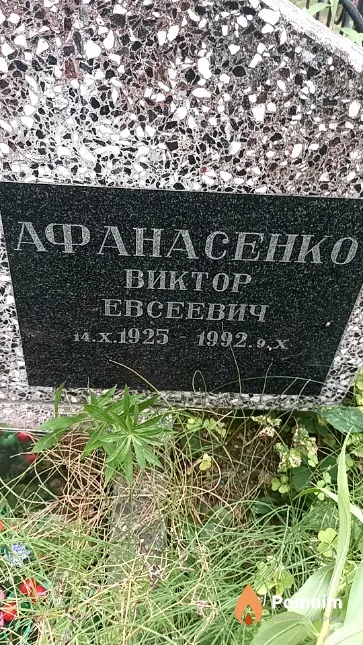 Афанасенко Виктор Евсеевич