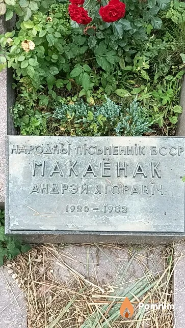 Макаёнак Андрэй Ягоравіч