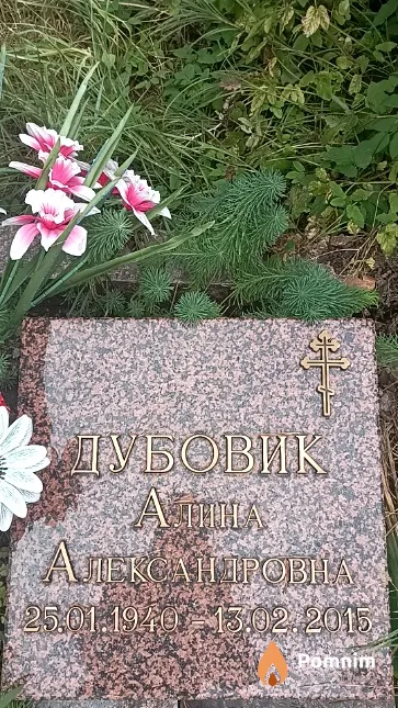Дубовик Алина Александровна
