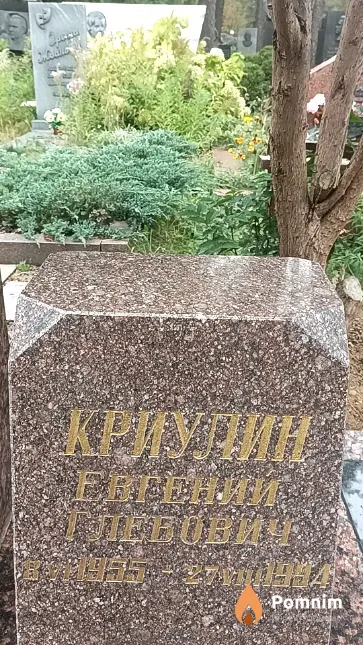 Криулин Евгений Глебович