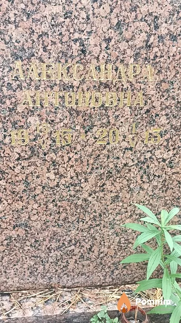 Пономарева Александра Антоновна