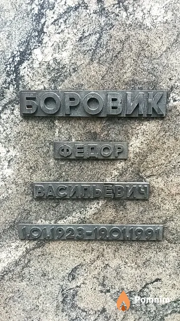 Боровик Федор Васильевич