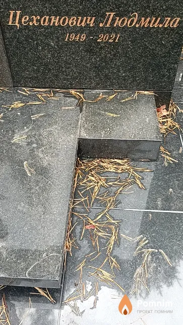 Цеханович Людмила