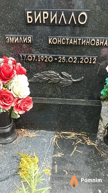 Бирилло Эмилия Константиновна