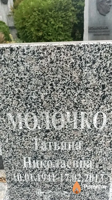 Молочко Татьяна Николаевна