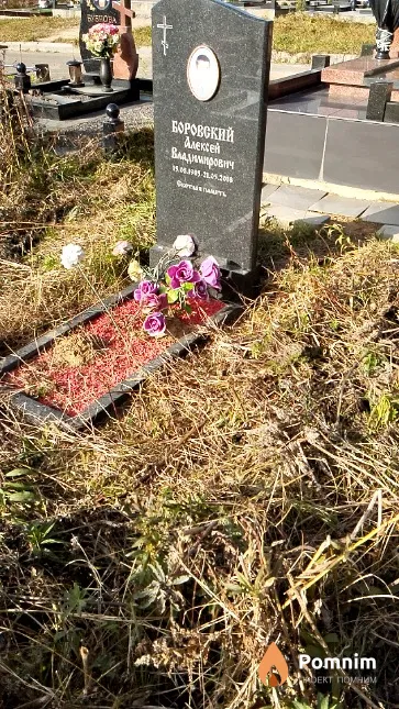 Боровский Алексей Владимирович
