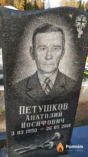 Петушков Анатолий Иосифович