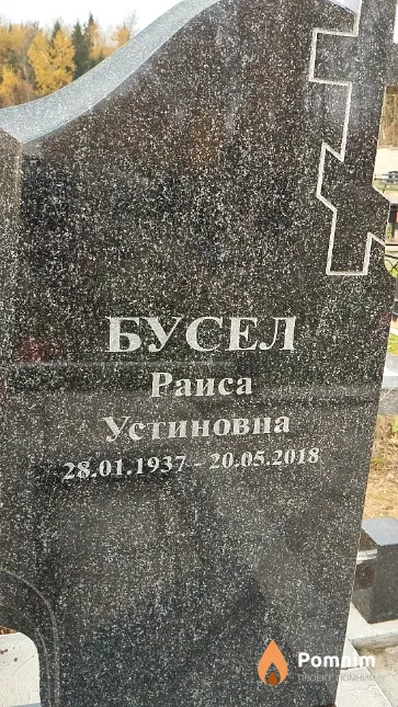 Бусел Раиса Устиновна