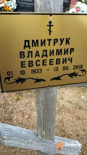Дмитрук Владимир Евсеевич