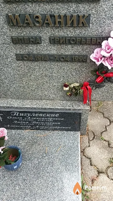 Мазаник Елена Григорьевна