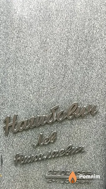 Нагибович Лев Николаевич