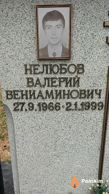 Нелюбов Валерий Вениаминович