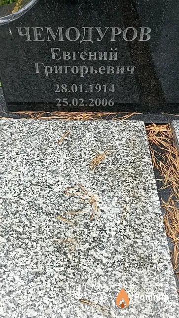 Чемодуров Евгений Григорьевич