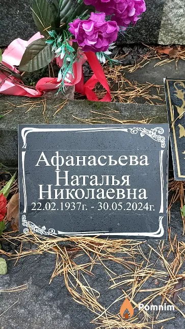 Афанасьева Наталья Николаевна