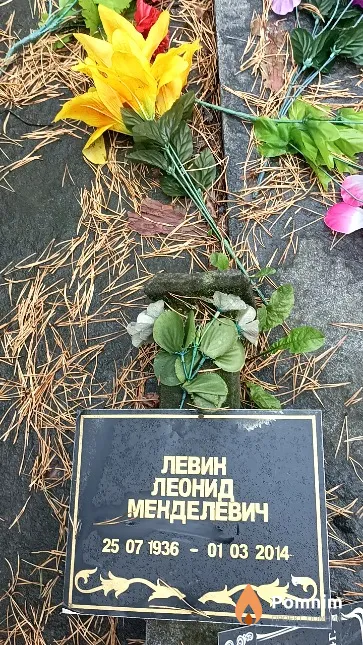 Левин Леонид Менделевич