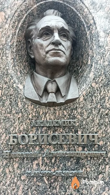 Борисевич Николай Александрович