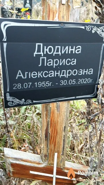 Дюдина Лариса Александровна