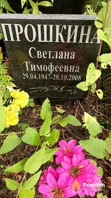 Прошкина Светлана Тимофеевна