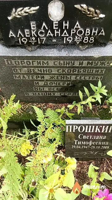 Курчева Елена Александровна