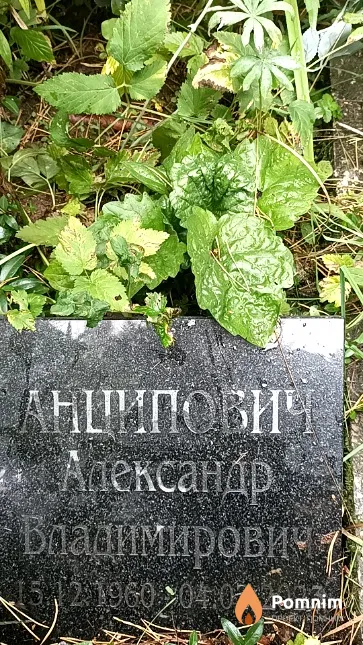 Анципович Александр Владимирович