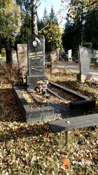 Гюнтер-Махнис Валентина Егоровна
