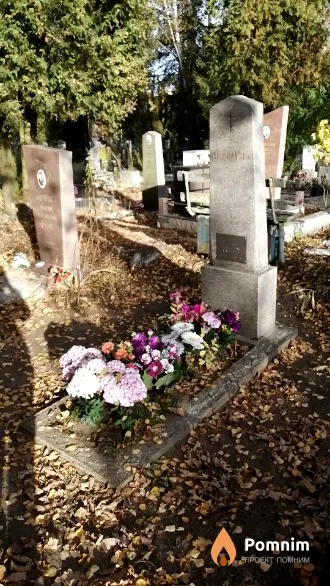 Лебецкий Марк Александрович