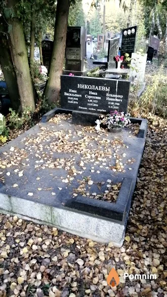 Николаев Владимир Иванович