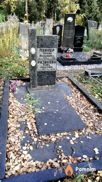 Плинер София Романовна