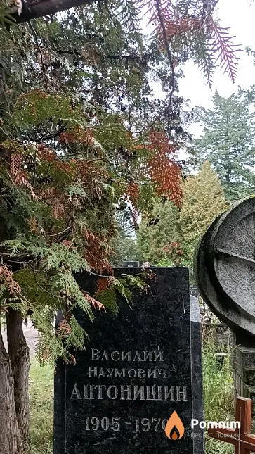 Антонишин Василий Наумович