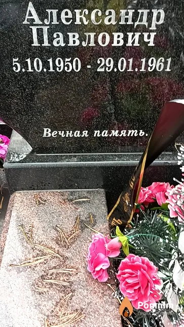 Новичков Александр Павлович