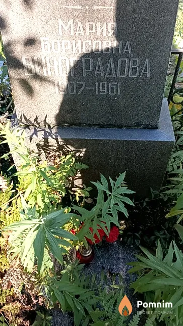 Виноградова Мария Борисовна