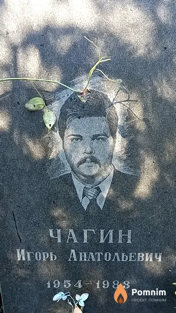 Чагин Игорь Анатольевич