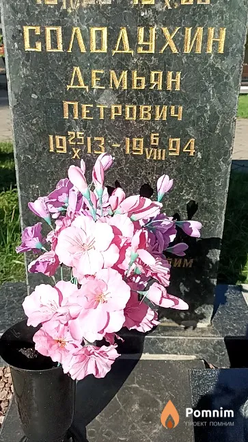 Солодухин Демьян Петрович