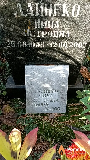 Дайнеко Нина Петровна