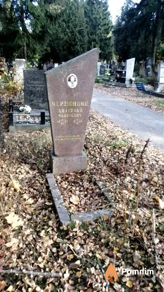 Черницкий Анатолий Яковлевич