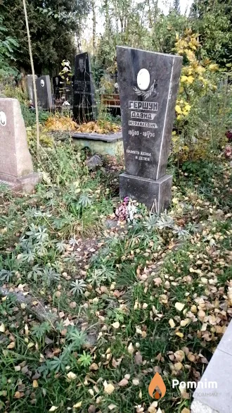 Гершун Давид Израилевич